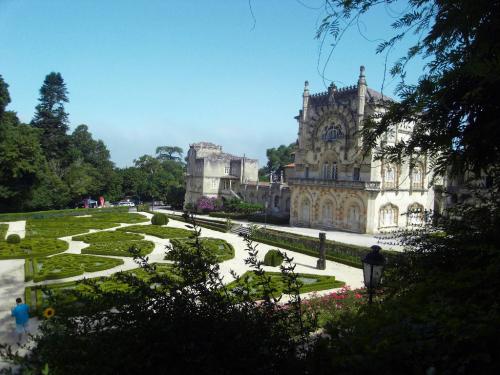 SDC11335.JPG