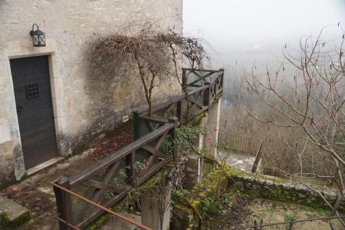 20_Сен сирк Лапопи_080.JPG