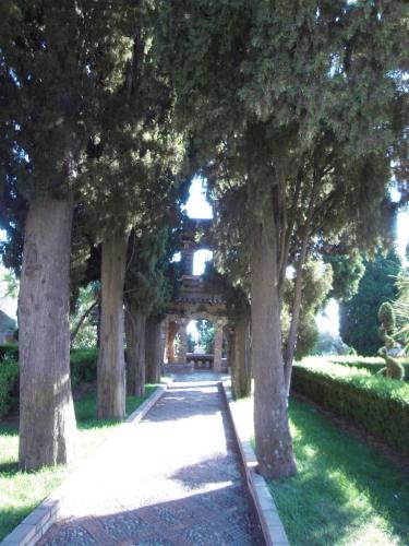 SDC11029.JPG