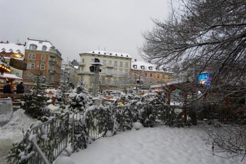 SDC13568.JPG