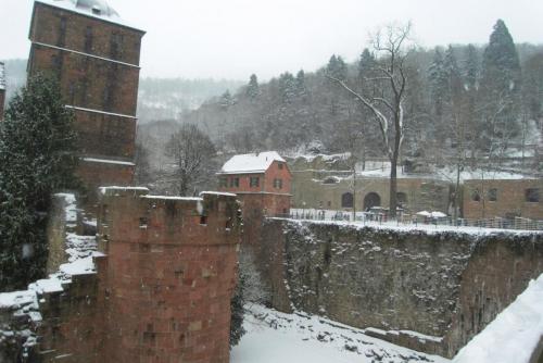 SDC13559.JPG