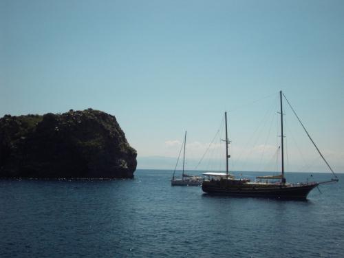 SDC11308.JPG