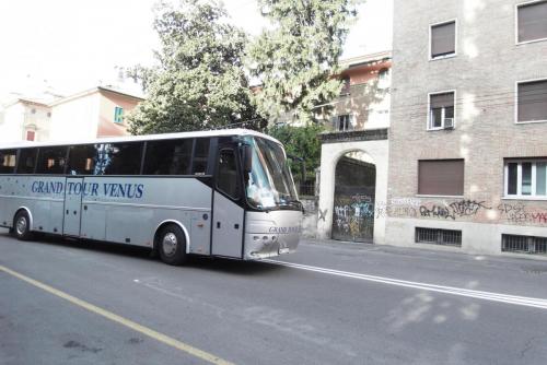 SDC13051.JPG