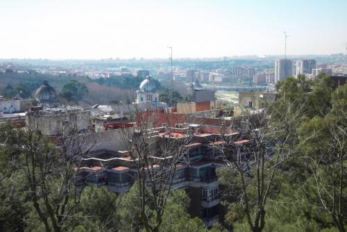 SDC10068.JPG