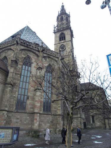 SDC12721.JPG