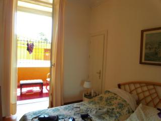 SDC13653.JPG
