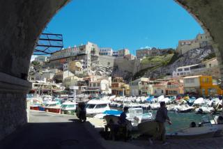 SDC11372.JPG