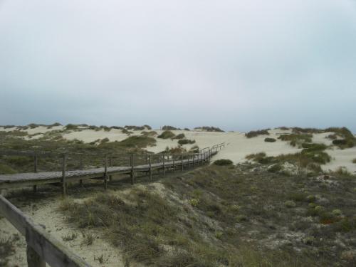 SDC11536.JPG