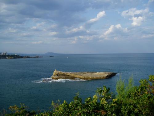 P1010366.JPG