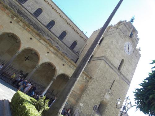 SDC11486.JPG
