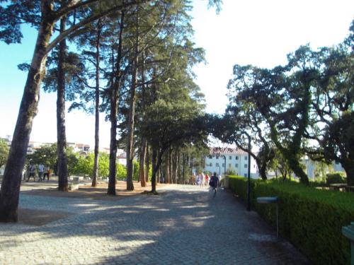 SDC11155.JPG