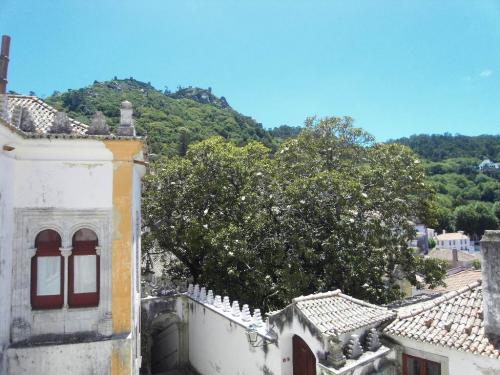 SDC10879.JPG