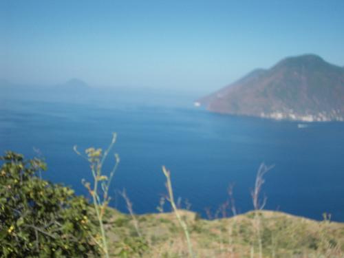 SDC11178.JPG