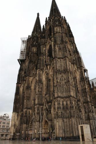 IMG_9341.JPG