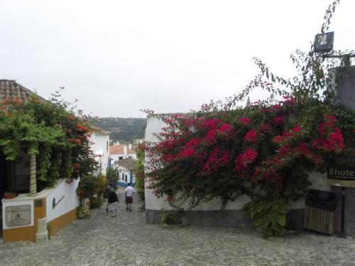 SDC11052.JPG