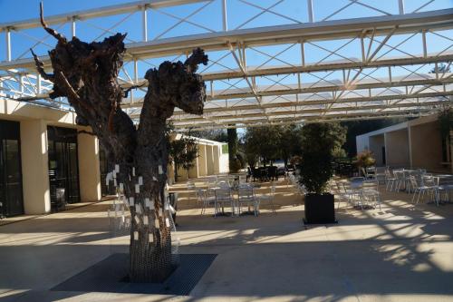 24_Пон дю Гар_001.JPG