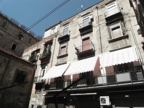 SDC10315.JPG