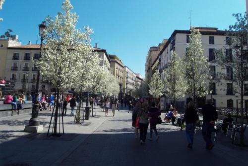 SDC10088.JPG