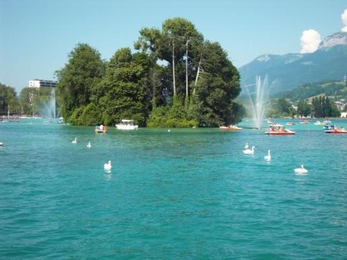 SDC13810.JPG