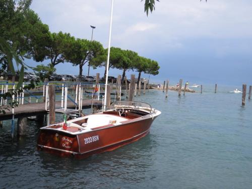 IMG_8231.JPG