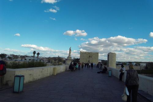 SDC11227.JPG