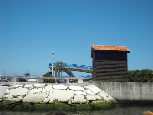 SDC11430.JPG