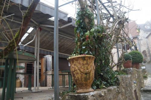 20_Сен сирк Лапопи_106.JPG