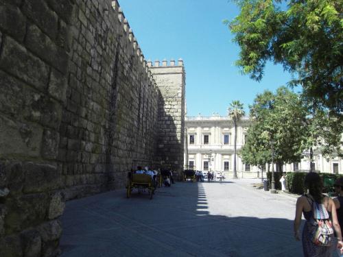 SDC10686.JPG