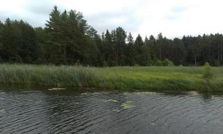 IMAG0608.jpg