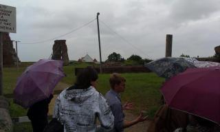 IMAG0717.jpg