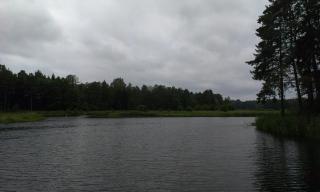 IMAG0607.jpg