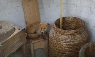 IMAG0442.jpg