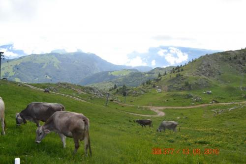 ОТПУСК 2016 1366.JPG