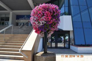 DSC_0865.jpg