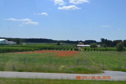 ОТПУСК 2016 182.JPG