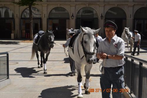 ОТПУСК 2016 385.JPG