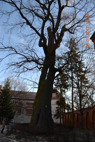 Готическое ожерелье северной Польши 553.JPG