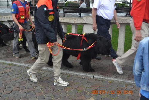 ОТПУСК 2016 1085.JPG