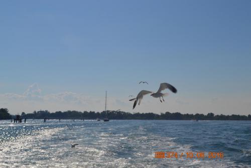 ОТПУСК 2016 969.JPG