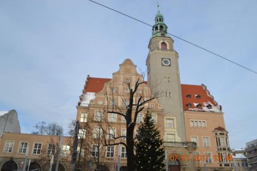 Готическое ожерелье северной Польши 682.JPG