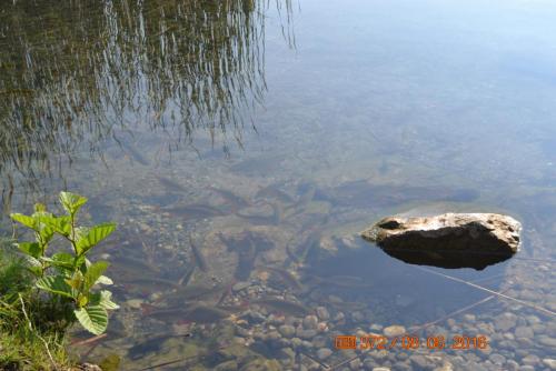 ОТПУСК 2016 566.JPG