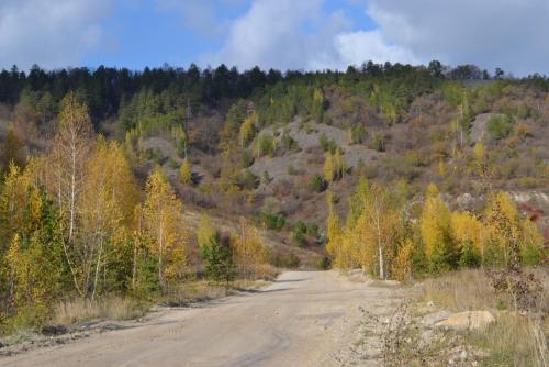 Ширяево. Осень 2015 061.JPG