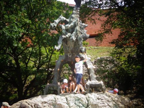 Отдых на озере Липно 2017г 342.JPG