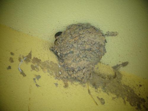 Отдых на озере Липно 2017г 256.JPG