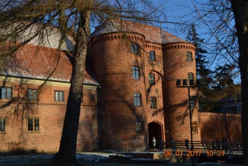 Готическое ожерелье северной Польши 546.JPG