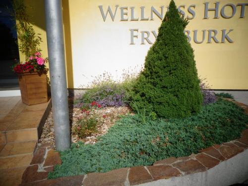 Отдых на озере Липно 2017г 194.JPG