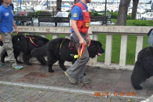 ОТПУСК 2016 1086.JPG