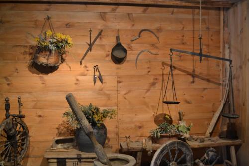 Ширяево. Осень 2015 025.JPG