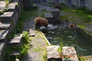 DSC_0398.jpg