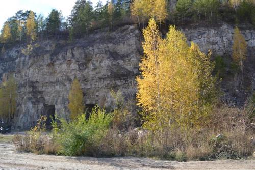 Ширяево. Осень 2015 059.JPG